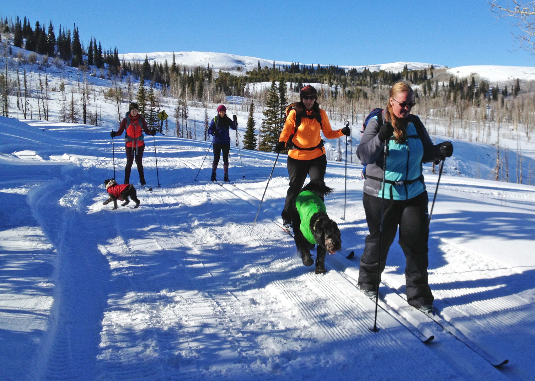 Cross-country skiing